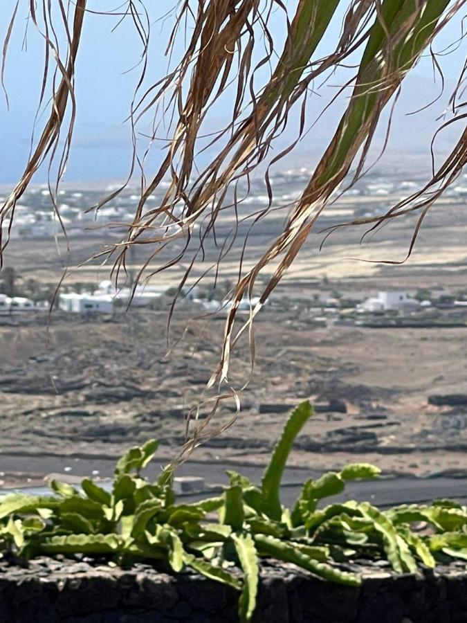La Morreta Suites II - Lanzarote تياس المظهر الخارجي الصورة