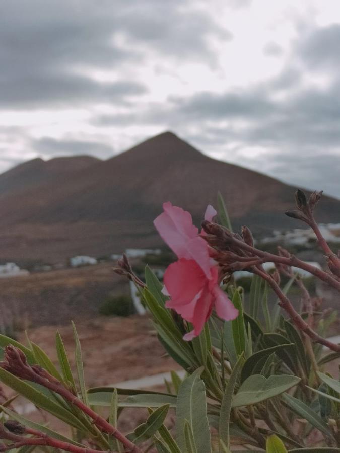 La Morreta Suites II - Lanzarote تياس المظهر الخارجي الصورة